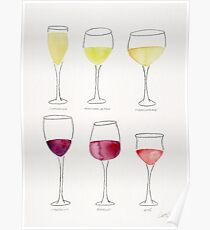 Póster Colección de vinos