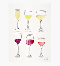 Wine Collection Photographic Print