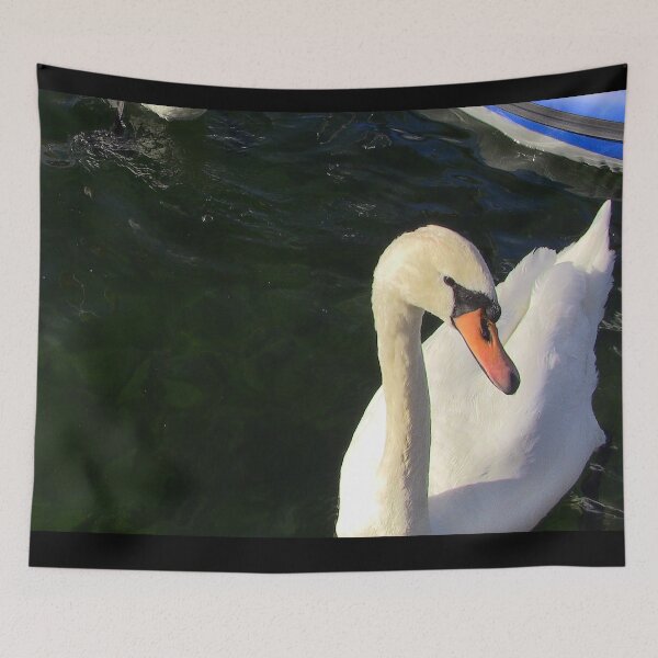 Item preview, Geneva Swan designed and sold by Photos by Michael J. Mesmer.