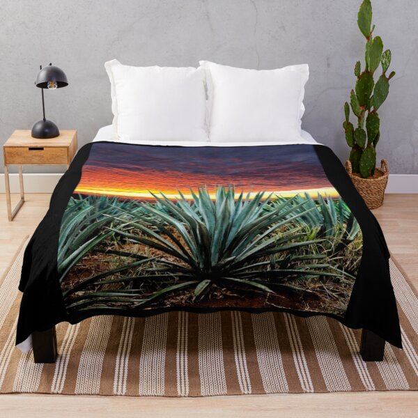 Artikelvorschau, Agavenlandschaft mit Sonnenuntergang Tequila Agave Mezcal entworfen und verkauft von Custom Shop.