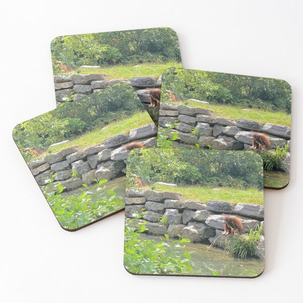 Item preview, Orangutans designed and sold by VerticalVistas.