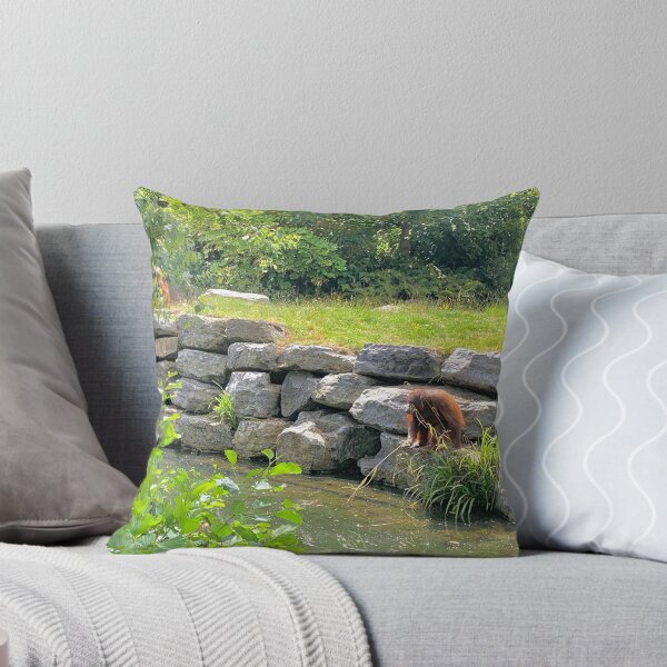Item preview, Orangutans designed and sold by VerticalVistas.