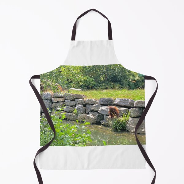 Item preview, Orangutans designed and sold by VerticalVistas.
