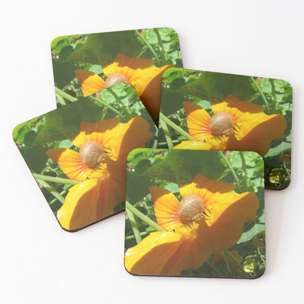 Item preview, Nastrutrium flower with a snail living in it!!!! designed and sold by pgorostiza.