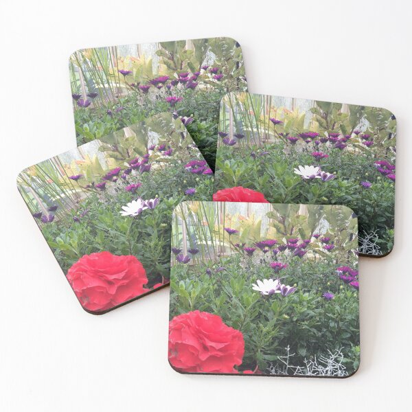 Item preview, Dublin National Botanic Garden designed and sold by VerticalVistas.