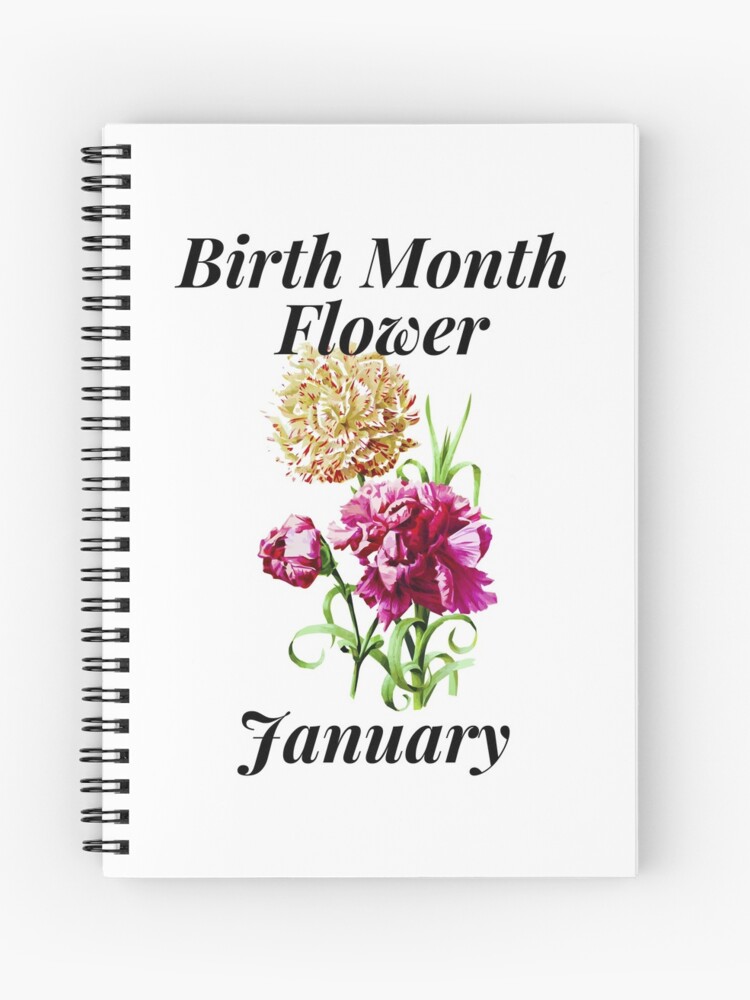 Birth Month January Journal Birth Month January Journal