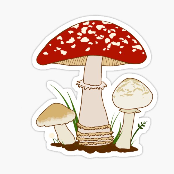 Oyster Mushroom Spore Fungi Sticker Flakes 60 Pcs Mushroom Washi ...