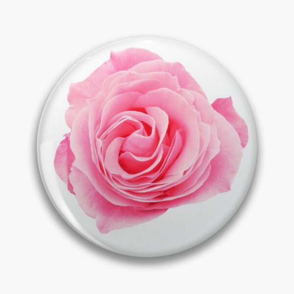 Artikelvorschau, Wirbelnde rosa Rosen-Blume entworfen und verkauft von SweepingShadows.