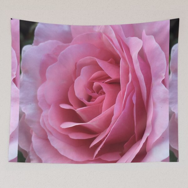 Artikelvorschau, Zarte rosa Rosen, Sommer göttlich entworfen und verkauft von RoseAromas.