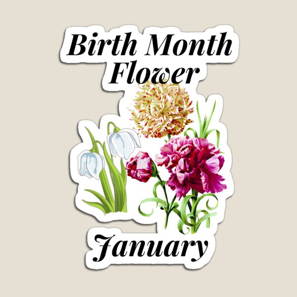 Birth Month Carnation Flower Shirts, Women January Birthday T-shirt, Custom  Flower Tops, Botanical Shirt for Women, Cute Meaningful Flower Birth