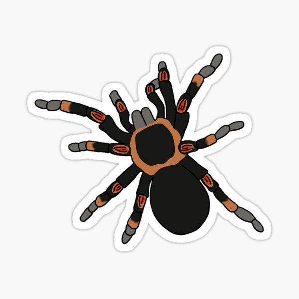 Item preview, Red Knee Tarantula designed and sold by taylorrowan.