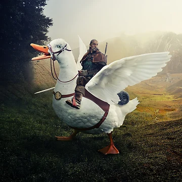 Artwork thumbnail, Duck Rider by WikMedia
