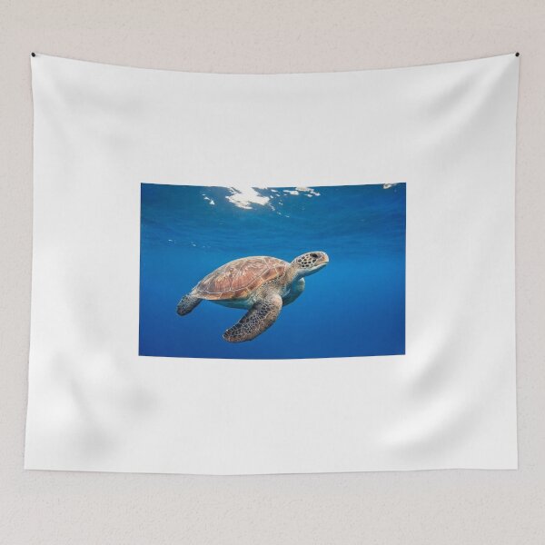 Item preview, Tortoise designed and sold by RenatoGuzman.