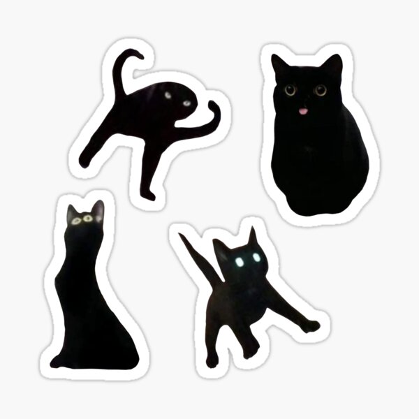 Cursed Images: Black Cats -4Pack Sticker