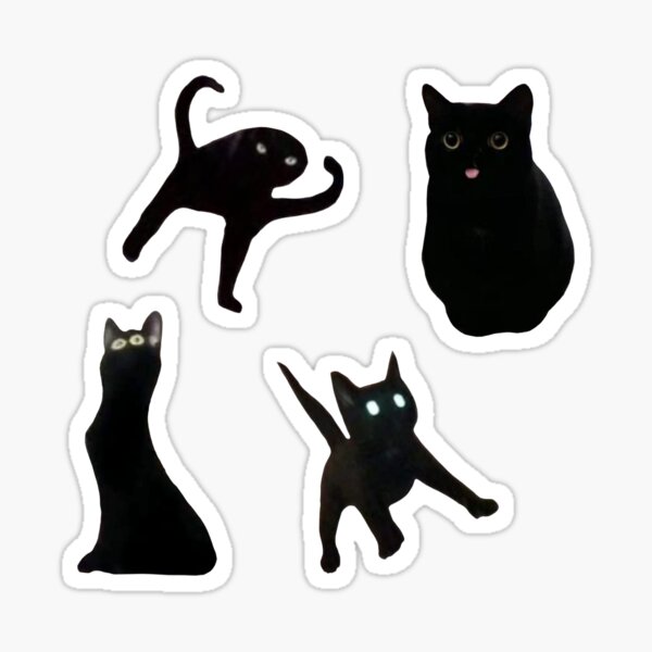 Black Cat Sticker – And Here We Are