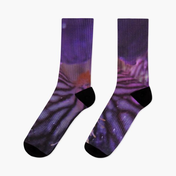 Item preview, Purple Bearded iris with morning dew designed and sold by pgorostiza.