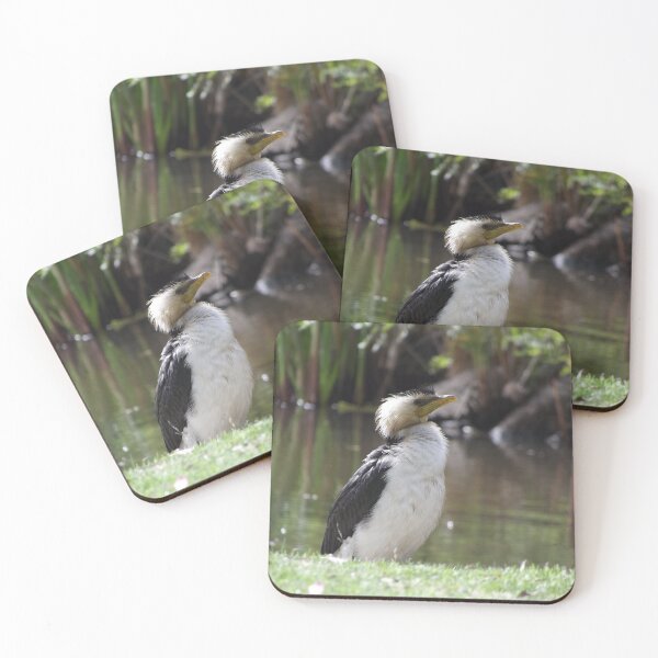 Item preview, Little pied cormorant designed and sold by greentiger1.