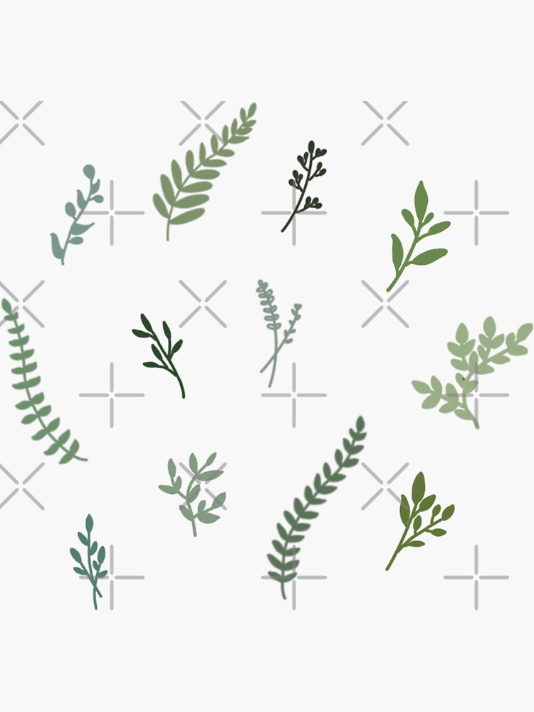Thumbnail 3 of 3, Sticker, botanical stickers designed and sold by foIkIore.