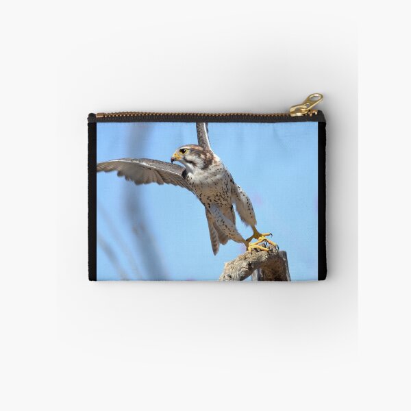 Item preview, Falcon Take-Off designed and sold by Kathleen Brant.