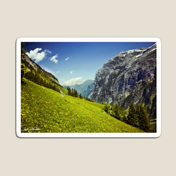 Lauterbrunnen Valley in Bloom Magnet