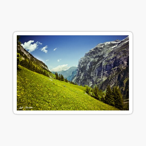 Lauterbrunnen Valley in Bloom Sticker