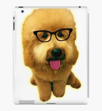 Precious Goldendoodle puppy! iPad Case/Skin