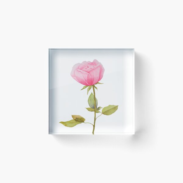 Item preview, Soft pink rose illustration designed and sold by fengyuhao.