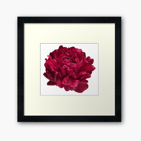 Item preview, Scarlet Red Peony Close-up  designed and sold by InalterataArt.