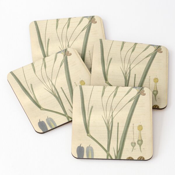 Item preview, Curtis's botanical magazine (Plate 2786) (8611193034) designed and sold by EsotericBotanic.