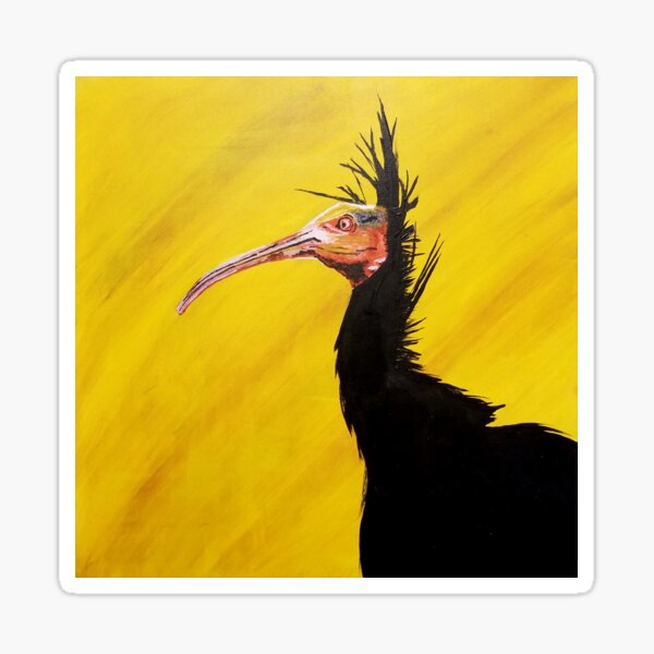 Waldrapp Ibis Sticker