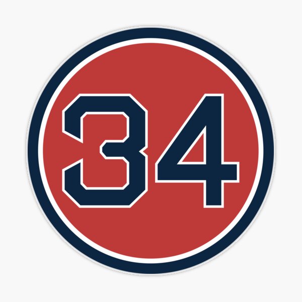 Pin on Pedro Martinez #3 Red Sox #49 MLB