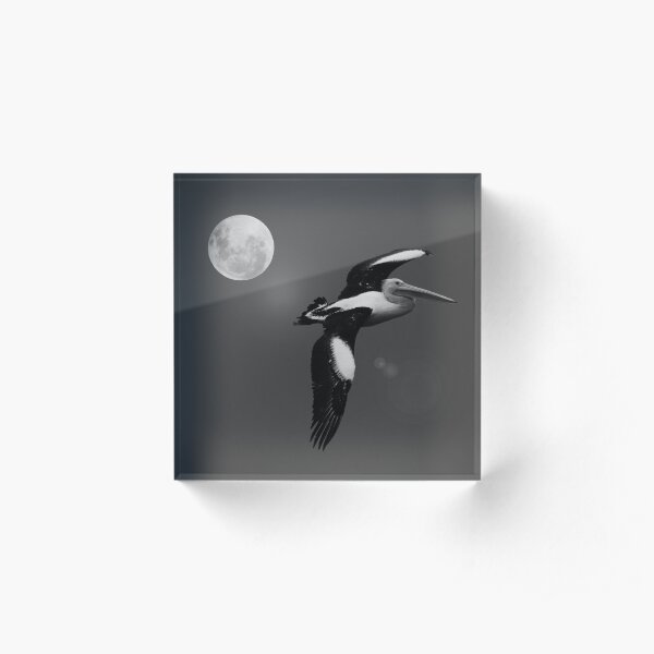 PELICAN BY THE LIGHT OF THE MOON Acrylic Block