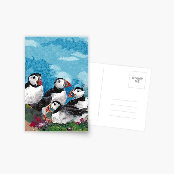 Painting of puffins Postcard