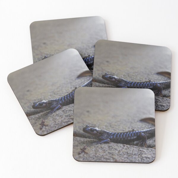 Item preview, Salamander designed and sold by jelli-designs.