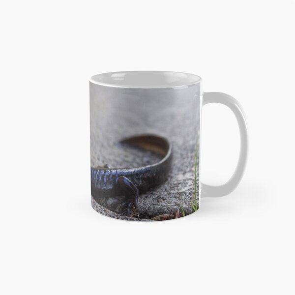 Item preview, Salamander designed and sold by jelli-designs.