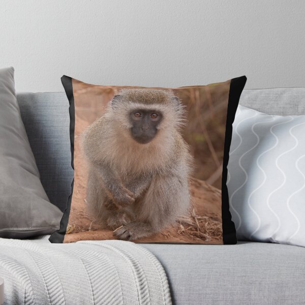 Vervet Monkey at Pafuri, Kruger National Park, South Africa Throw Pillow