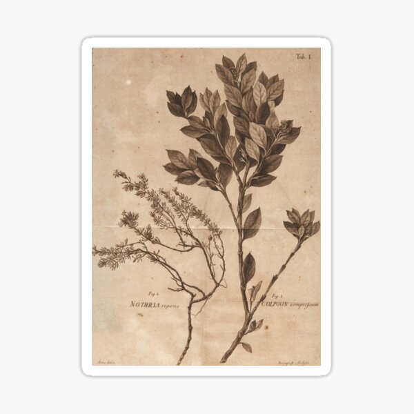 Affiche du cours d'herbologie Sticker