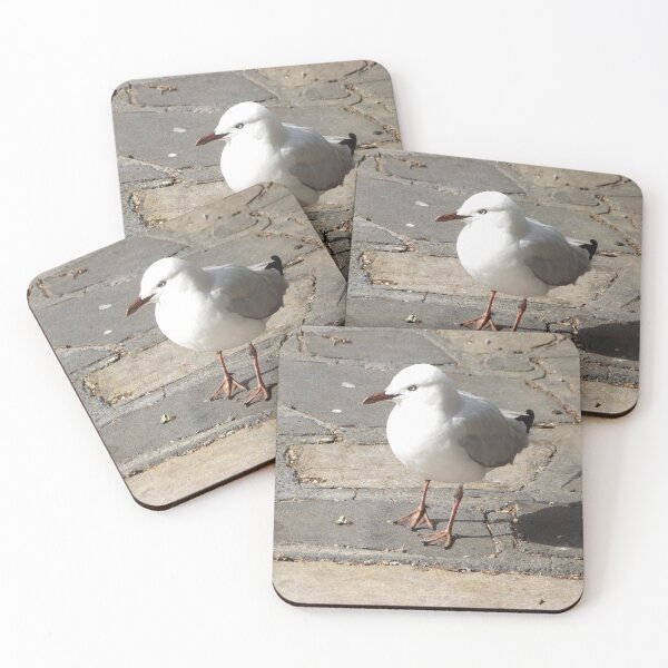 Item preview, Silver gull designed and sold by greentiger1.
