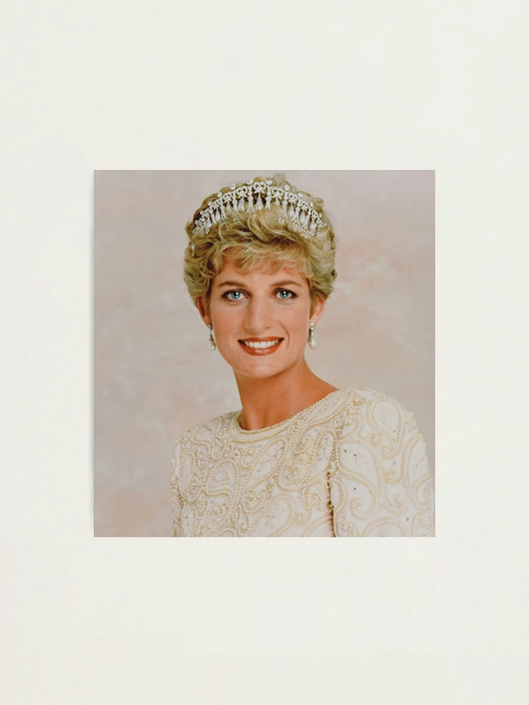 【J17732】DIANA A PORTRAIT fpp,small,lustre,wall_texture,