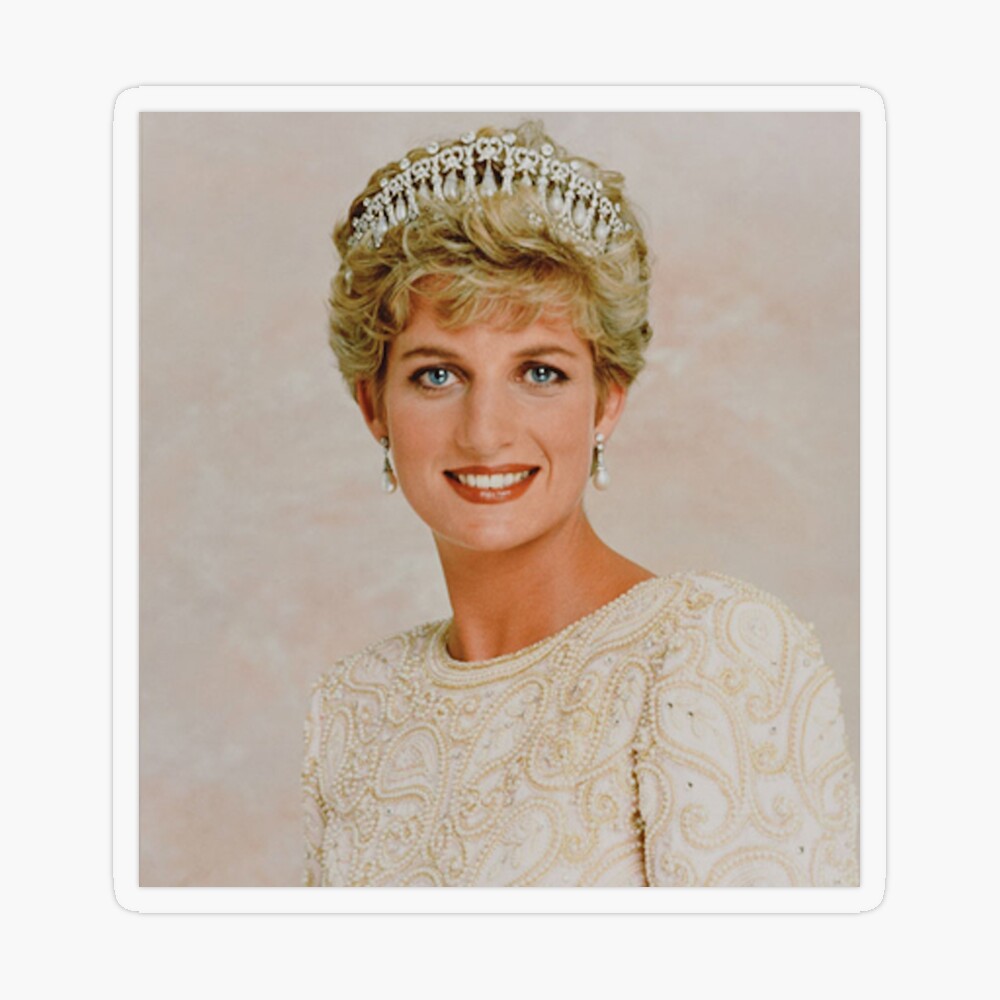 Diana Portrait by Rosalind Coward, First Edition - AbeBooks