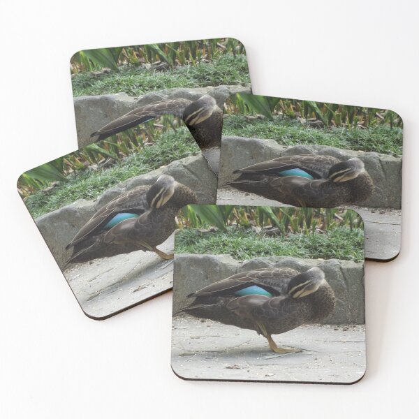 Item preview, Preening duck designed and sold by greentiger1.