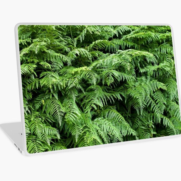Fern texture background 1 Laptop Skin