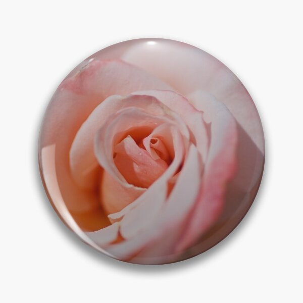 Item preview, Soft Pink And Apricot Rose designed and sold by Joy Watson - Natural Light Photography .