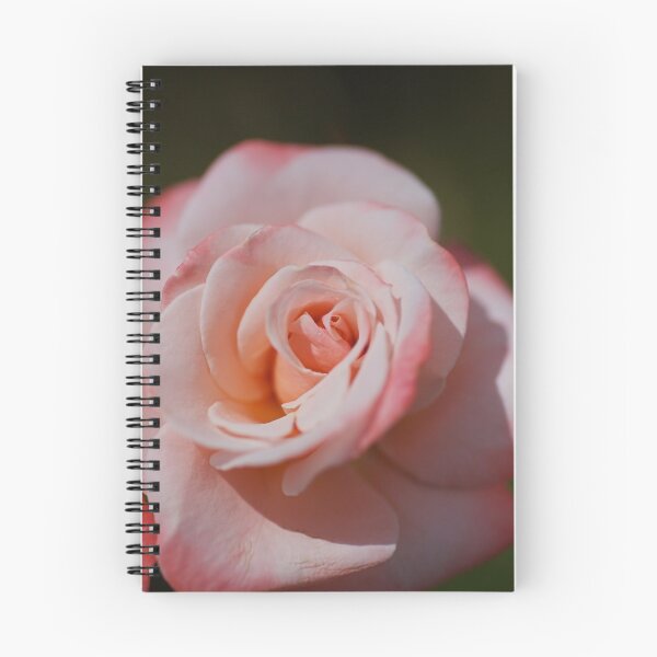 Item preview, Soft Pink And Apricot Rose designed and sold by Joy Watson - Natural Light Photography .