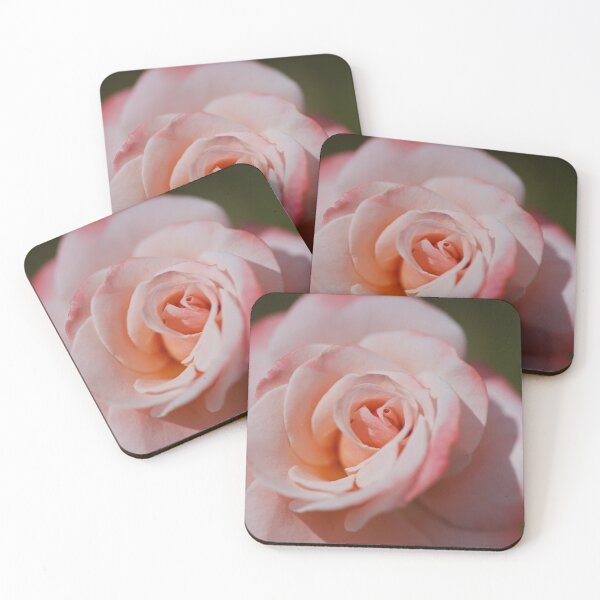 Item preview, Soft Pink And Apricot Rose designed and sold by Joy Watson - Natural Light Photography .