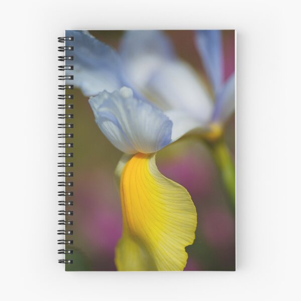 Item preview, Yellow Dutch Iris Beardless Flower designed and sold by Joy Watson - Natural Light Photography .