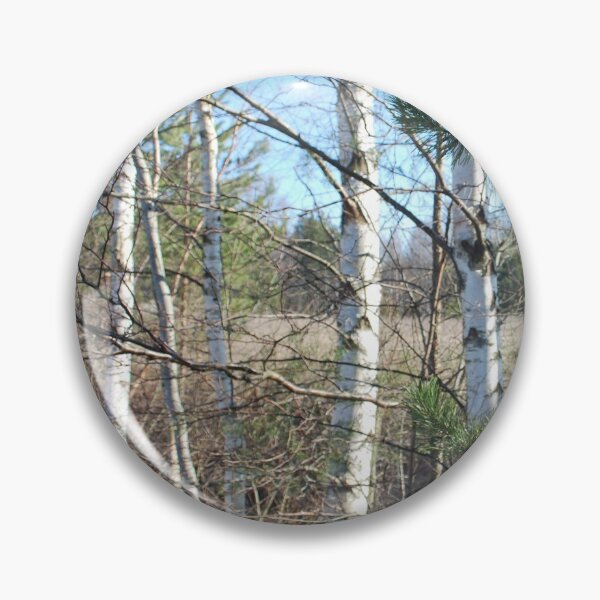 Item preview, Birch trees designed and sold by FancyCatShop.