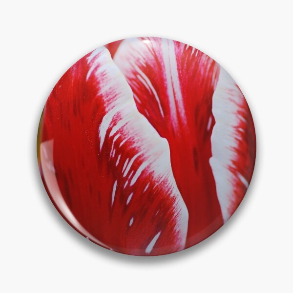 Item preview, Close Red and White Tulip Flower designed and sold by Joy Watson - Natural Light Photography .