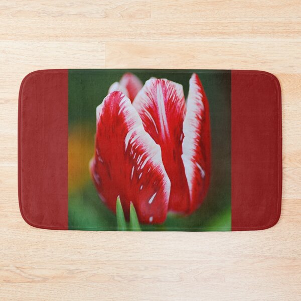 Item preview, Close Red and White Tulip Flower designed and sold by Joy Watson - Natural Light Photography .
