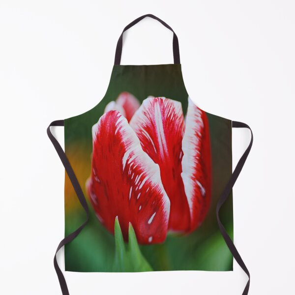 Item preview, Close Red and White Tulip Flower designed and sold by Joy Watson - Natural Light Photography .